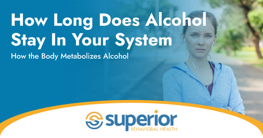 how long does alcohol stay in your system